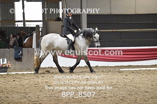 BPP_8507 - INTRO 3
