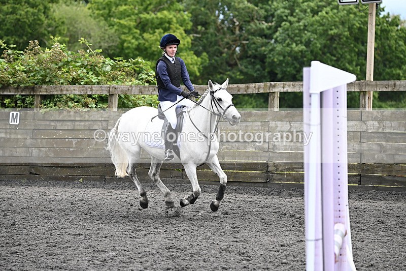 WJ6_0042 - Class 13 Novice 60cm