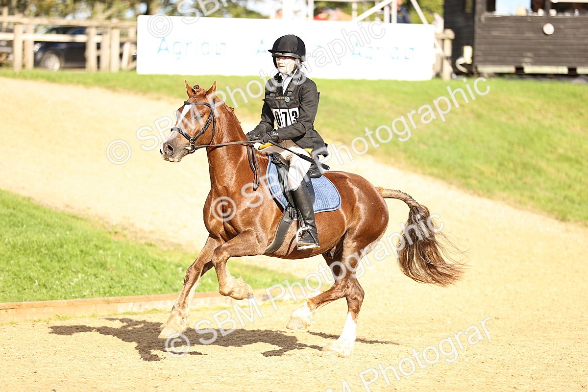 SBM_51443 - J10 - Junior Pony 75cm Championship