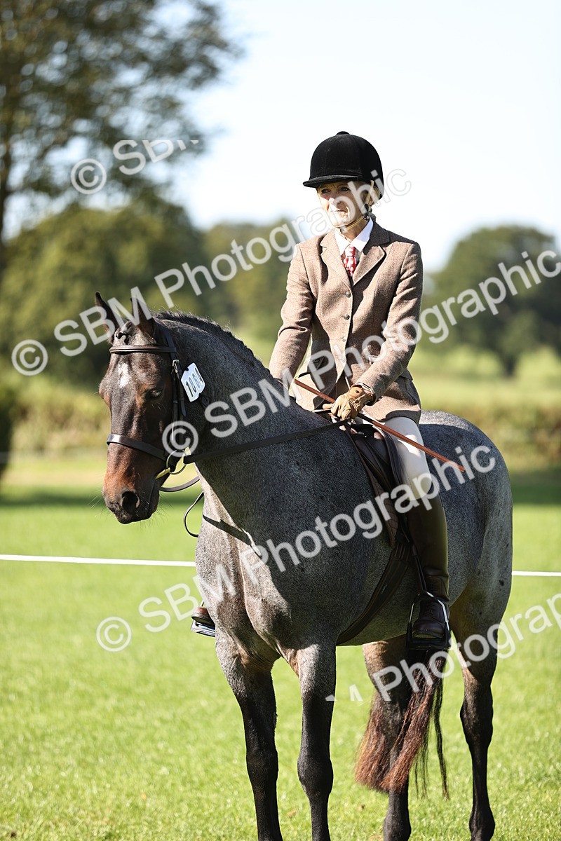 SBM_16922 - S2 - TSR Ridden Pony Showing