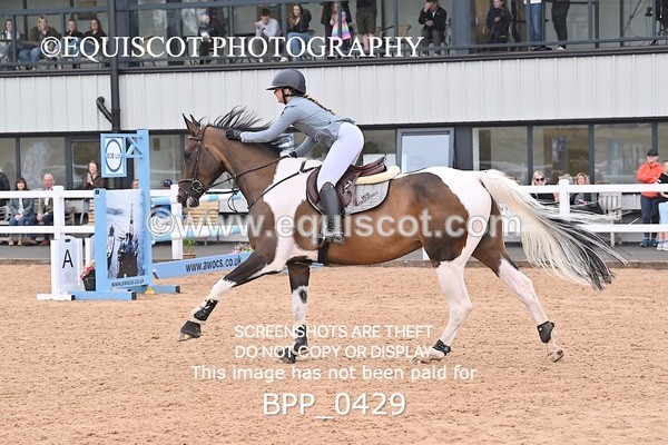 BPP_0429 - CLASS 27 SUN 6 Year Old Non Qualifier