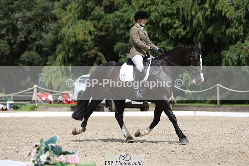 230812-134057-04289 - Cls 5 Novice Bronze 13.40 to 14.45 break