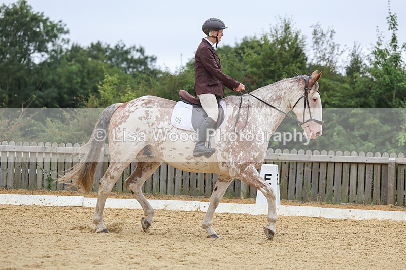 3E7A5006 - Class 2: Intro 4 2024 section B