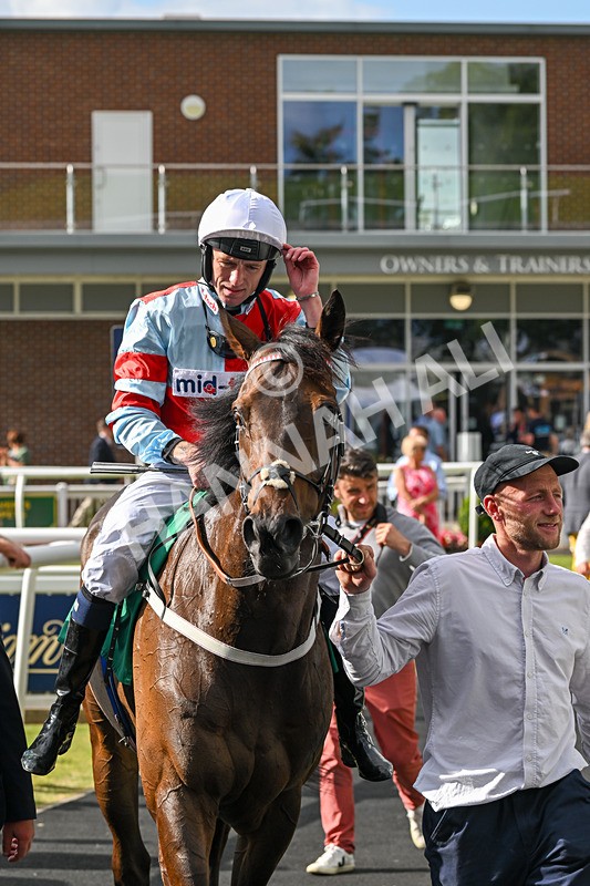 030824-Race 6-Night Breeze-1984 - Race 6