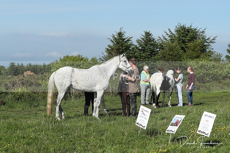 SPXX0052 - Friday vetting
