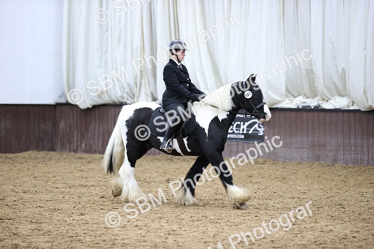 SBM_6330 - Class 45-42 - Ridden Irish Breeds-Ridden Cob
