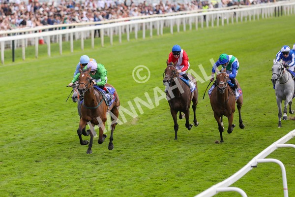 240824-Race 3-Breege-8965 - Race 3 3.00pm Sky Bet City Of York Stakes