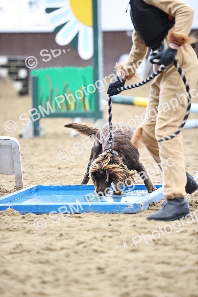 SBM_001273 - Class 3 - Horse & Hound 60cm
