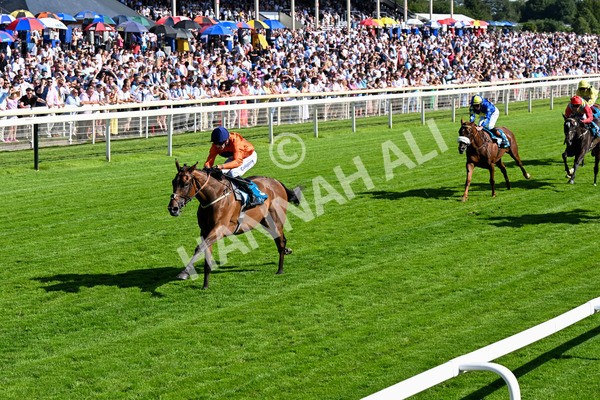 120725-Race 6-Terrorise-0501 - Race 6 4.45pm John Smith's Stayers' Handicap