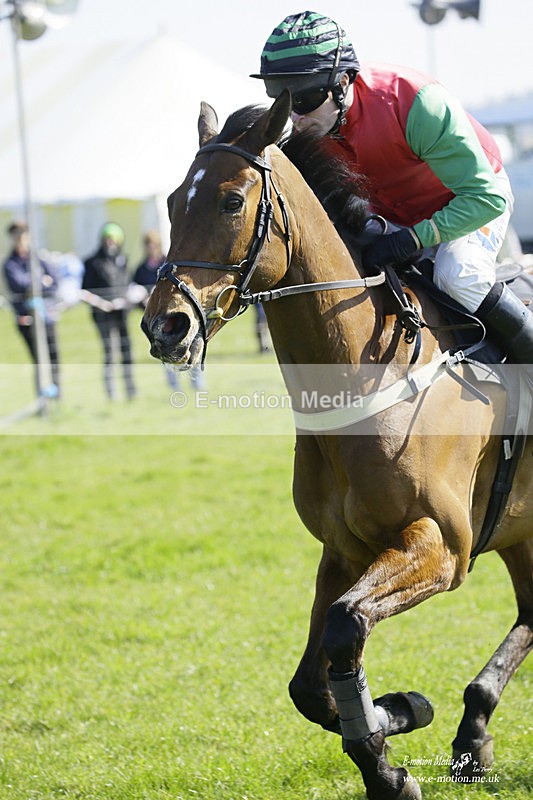 PtP 190322 378 - Wilton Hunt PtP Milborne St Andrew 19/03/22
