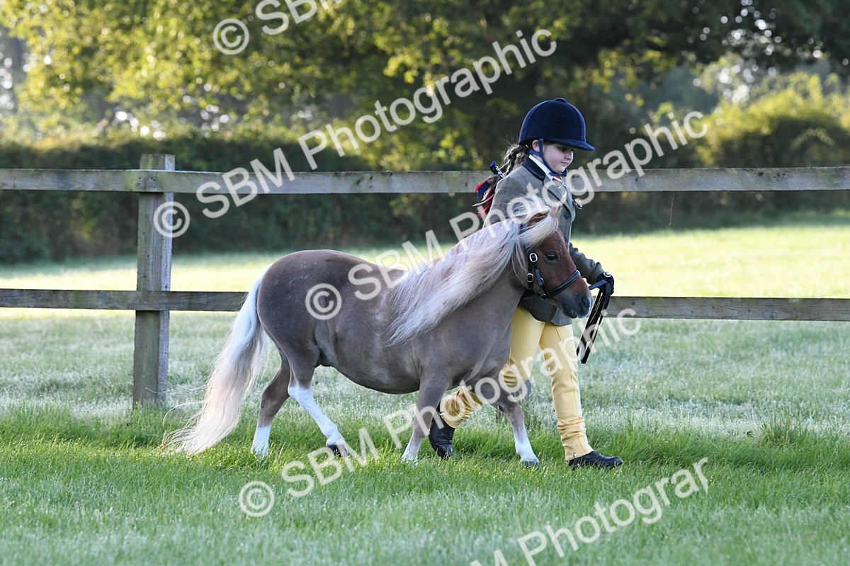 SBM_32607 - S15 - Condition & Turnout In Hand