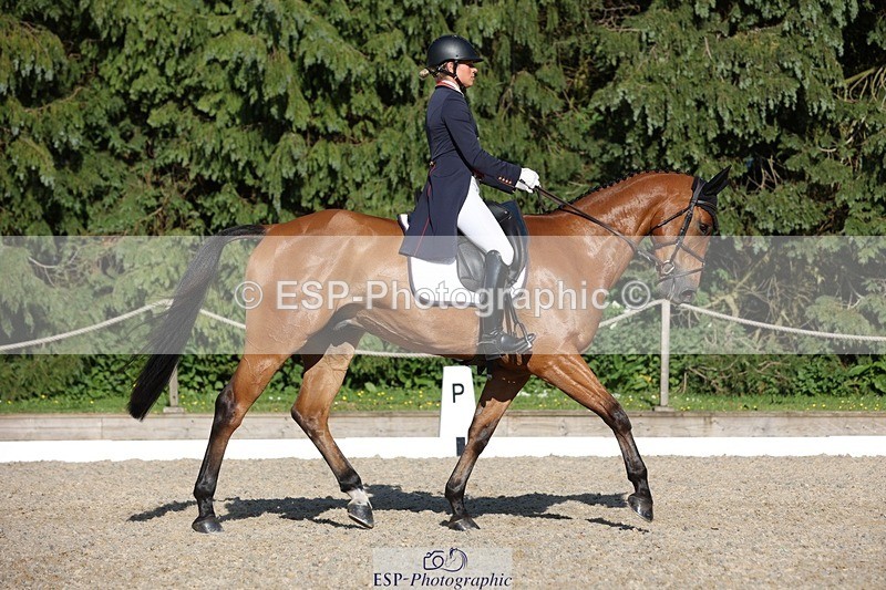 230526-175201-08046 - 182-HARTHILL_FLAMENCO-Izzy_Taylor-WEDTrotUp+DR