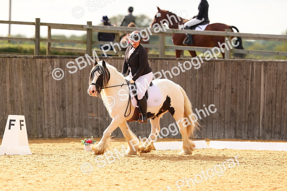 SBM_47445 - D6 - Small Tour Championship - Intro C