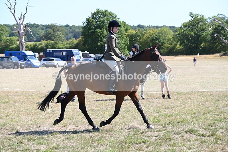 WJ6_8363 - Class 37a Best Loan Pony Ridden