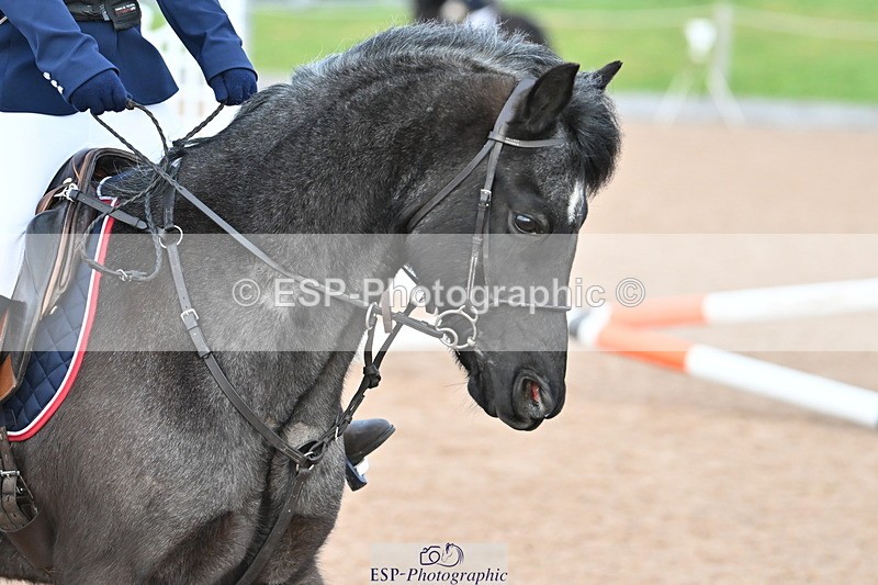 240127A-091823-00166 - SJ 40cm