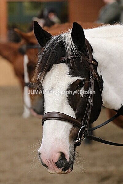 SIAL2447 - Sunday 14th Ridden