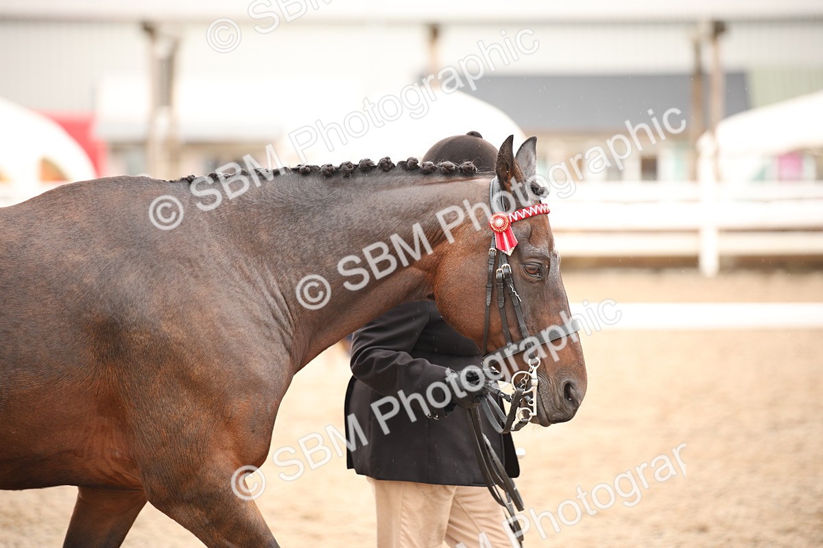 SBM_20720 - Class 705 - IH  Combination 65+