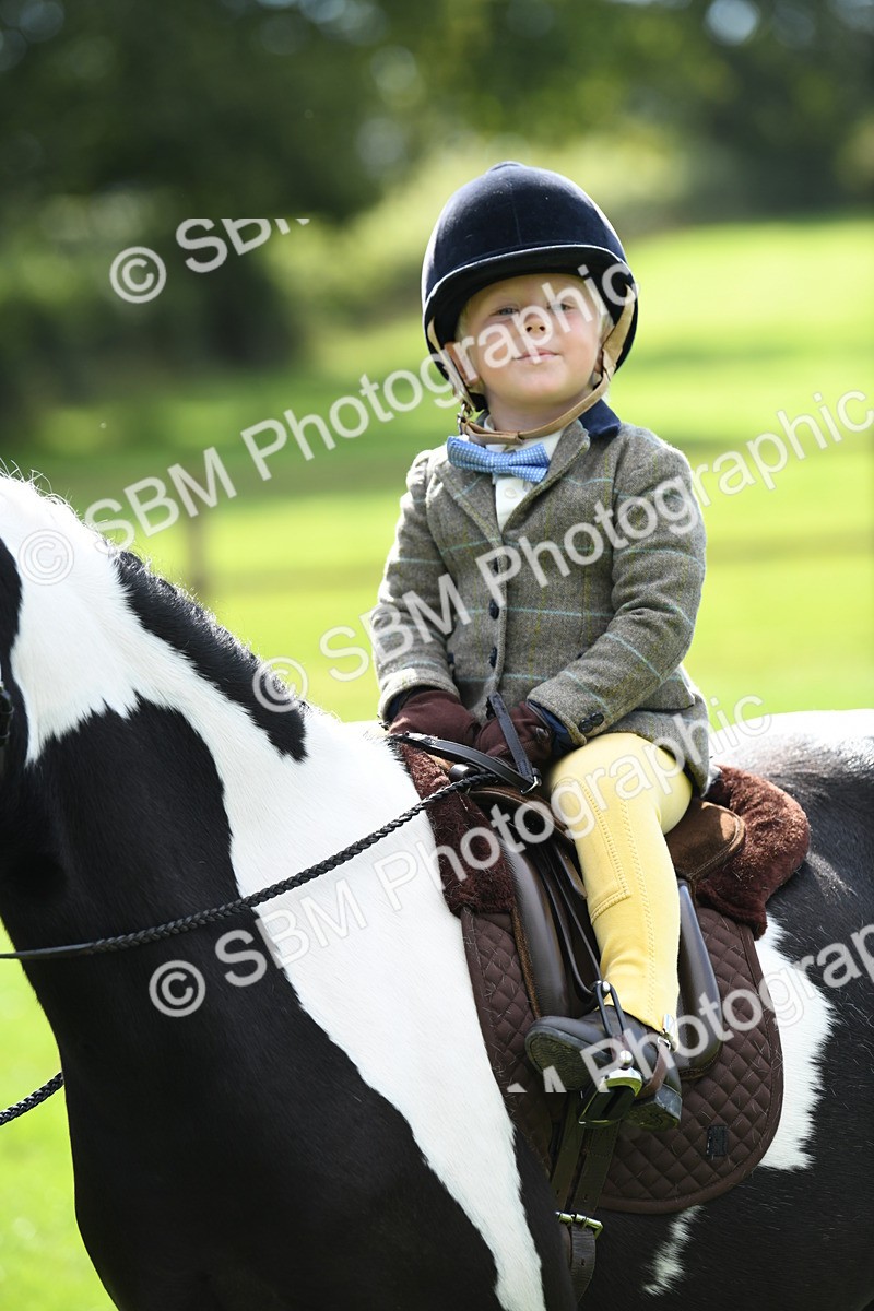 SBM_41191 - S19 - Lead Rein Show & Show Hunter Pony
