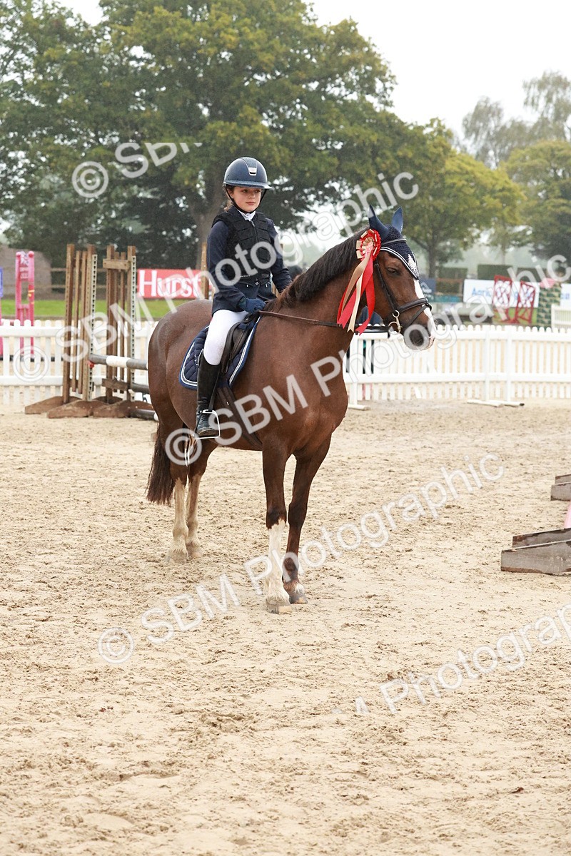 SBM_73597 - Supreme Championship Junior Pony 60cm & 65cm