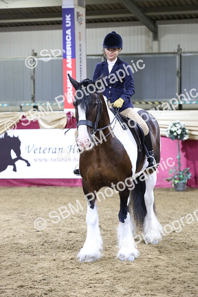 SBM_21188 - class Q - Ridden Horse Champ