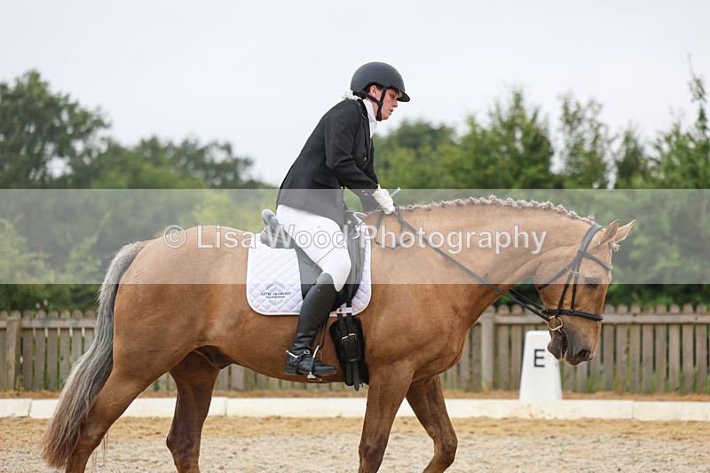 3E7A8636 - Class 2: Intro 3 2024 section B