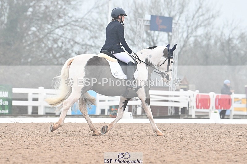 240217A-121018-02133 - 100-Gemma.Pine-Major.IV