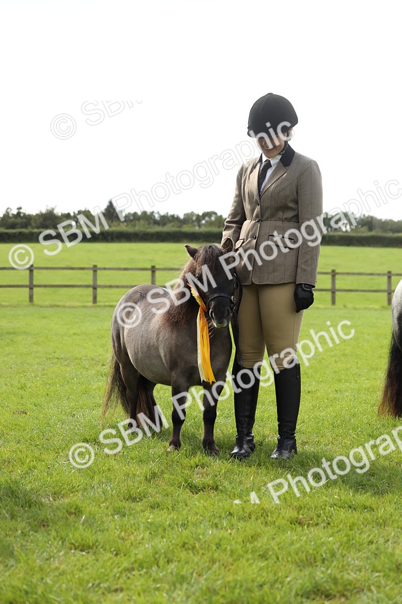 SBM_62857 - S46 - Mountain & Moorland In Hand Small Breeds