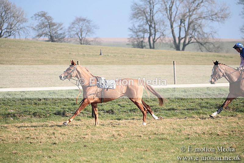 PtP 230219 162 - Vine & Craven Point-To-Point - Barbury 23/02/19