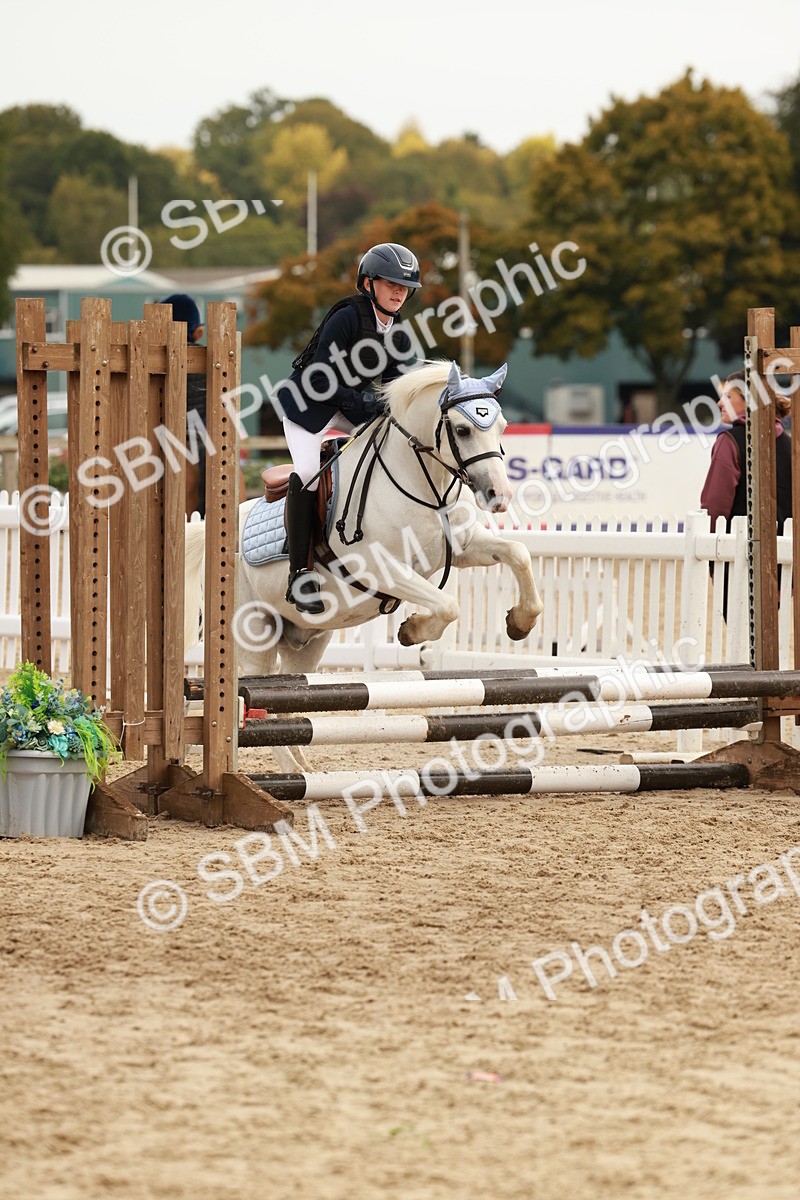 SBM_57768 - J11 - Junior Pony 50cm Championship