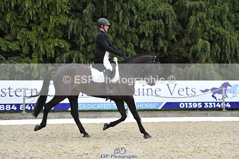 230525-141345-03114 - 319-RINGFORT_REVE_DU_MOULIN-Andrew_Downes-WEDTrotUp+DR