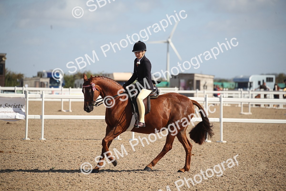 SBM_22950 - Class 603 - 2026 - Ridden Pre Vet