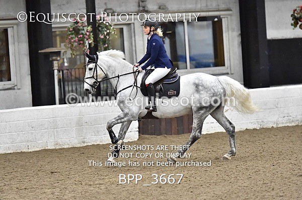 BPP_3667 - FRI CLASS 21 BR NOVICE/90CM