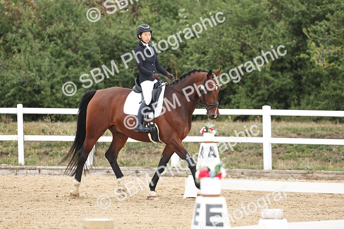 SBM_002514 - Class 7 - Novice 2 Warm Up