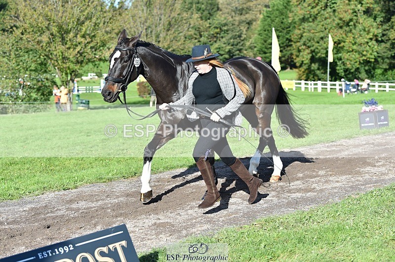 231022-111704-23864 - 565-LITTLE.M.II-Charlotte.Radley-TrotUp+SJ