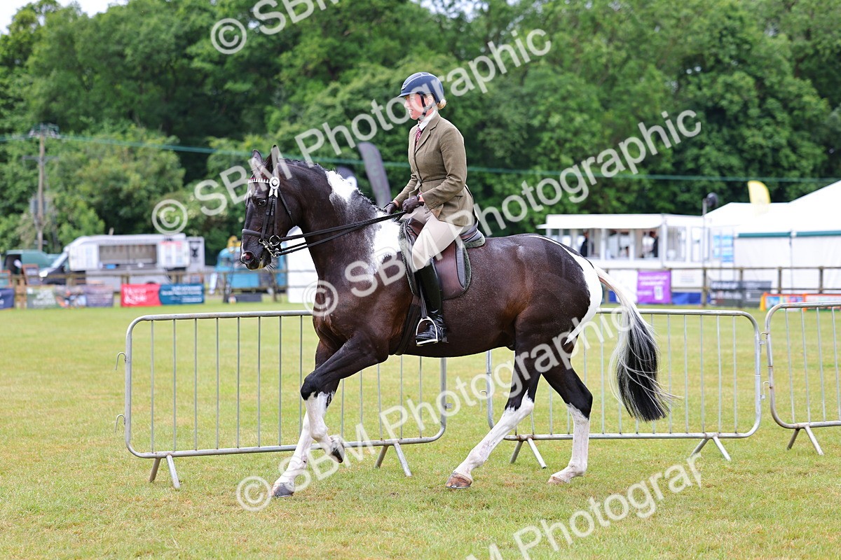 SBM_02509 - Class 9-11 Side Saddle including LIHS Rising Star Ladies Show Horse
