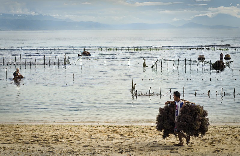  - Indonesia