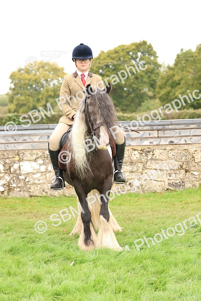 SBM_59945 - S36 - Rehabiliated Rescue Horse & Pony In Hand & Ridden