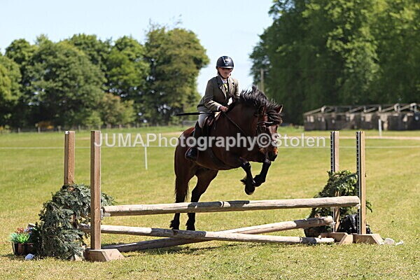 IMG_3597 - Working Hunter
