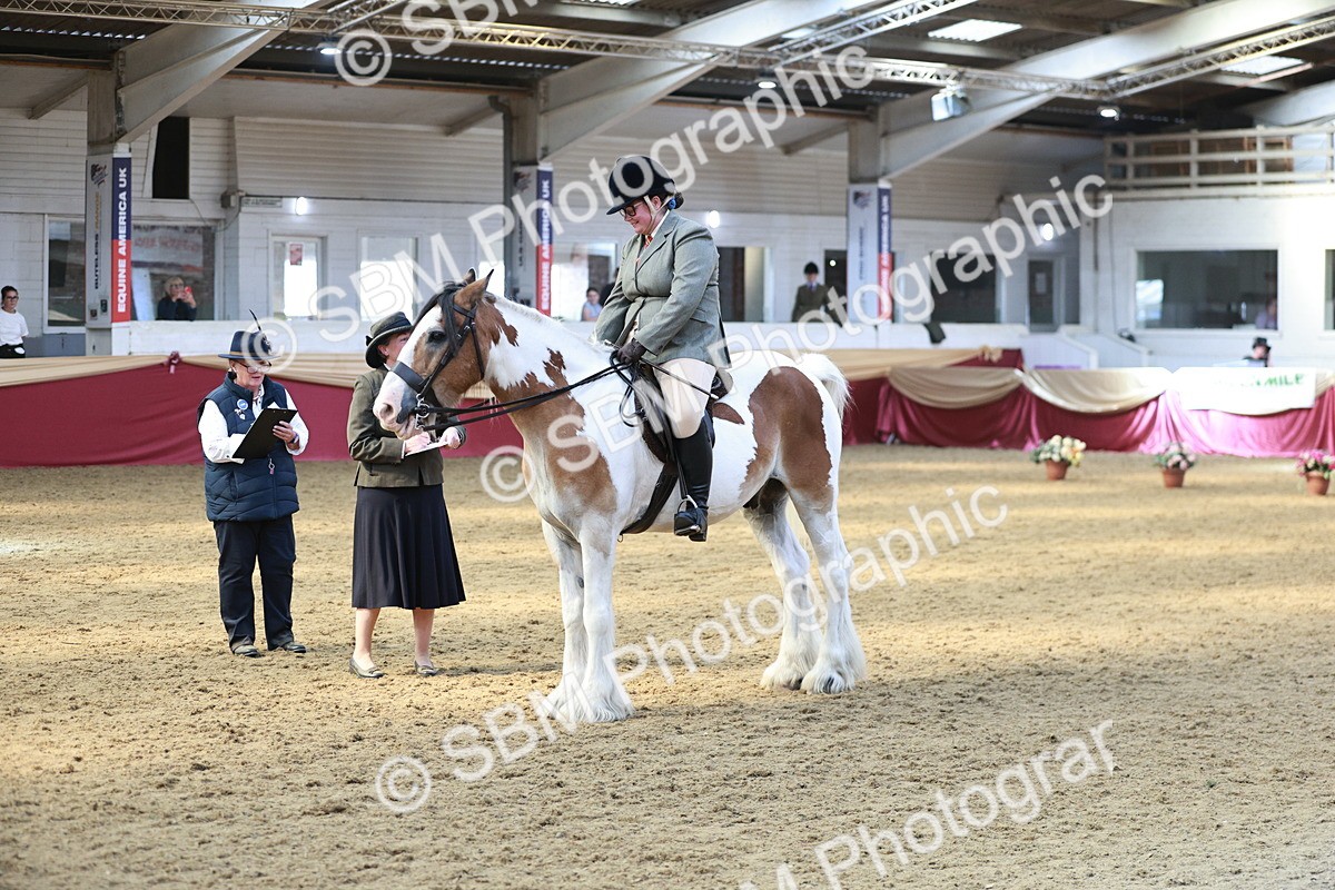 SBM_07096 - Class 10R - Regional Ridden Diamond