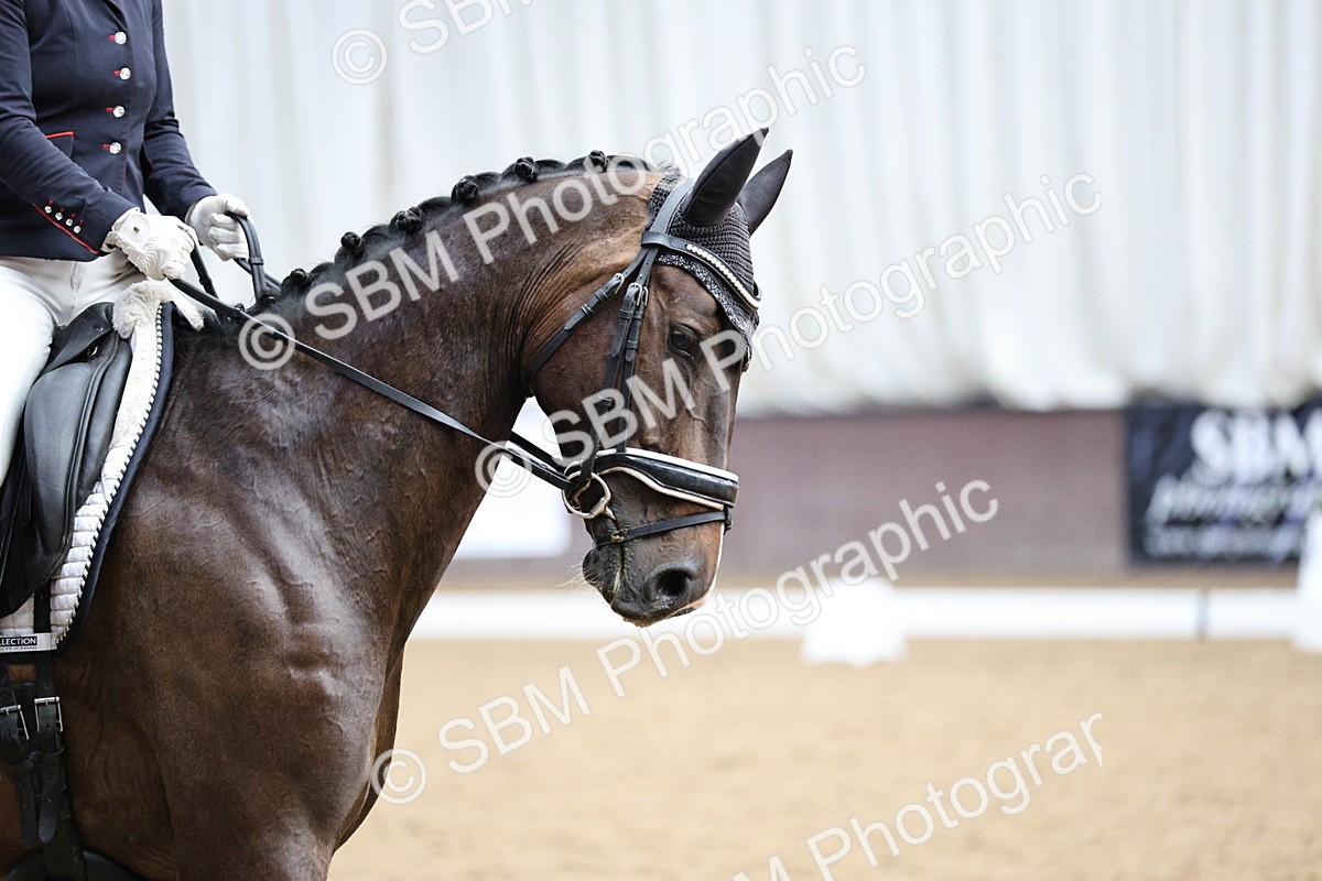 SBM_001717 - Class 7 - Elementary 5