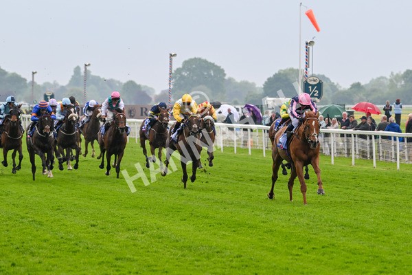 150524-Race 1-Crystal Delight-3559 - Race 1 2.15pm Sky Bet Race To The Ebor Jorvik Handicap