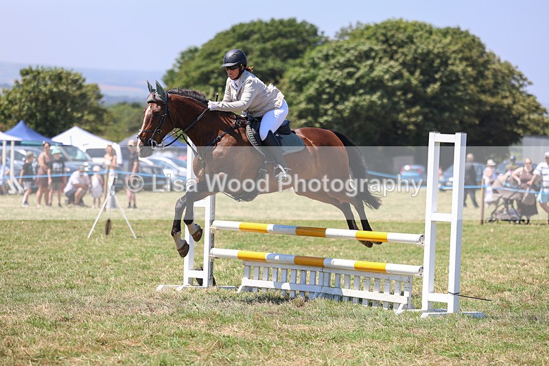 3E7A4332 - Class 10: Senior British Novice/90cm open
