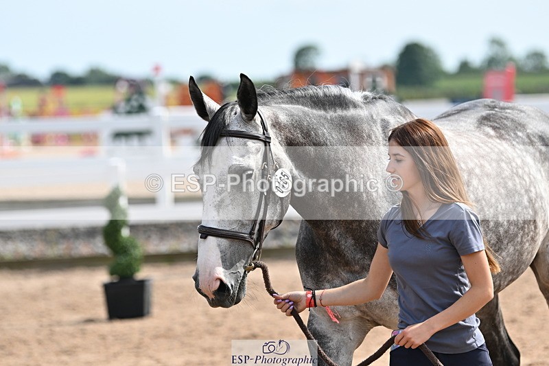 240717A-160924-03326 - Trot Up 4pm to 5pm