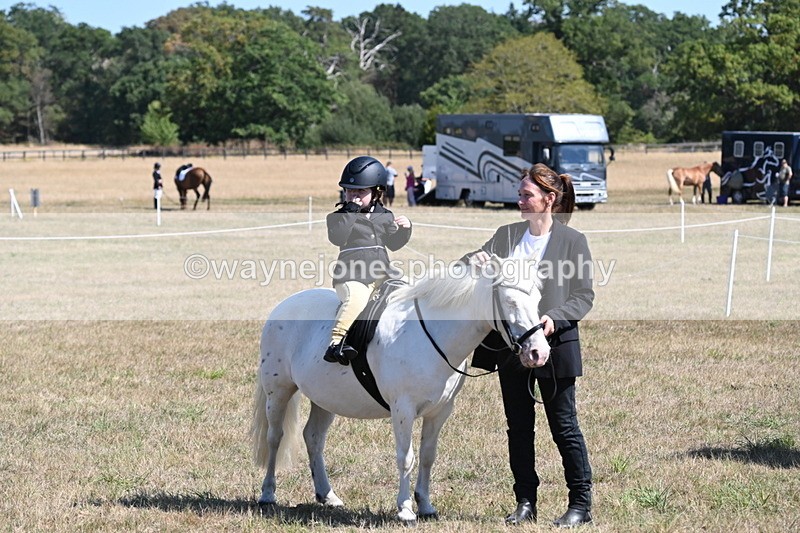 WJ6_8126 - Class 36 Lead Rein