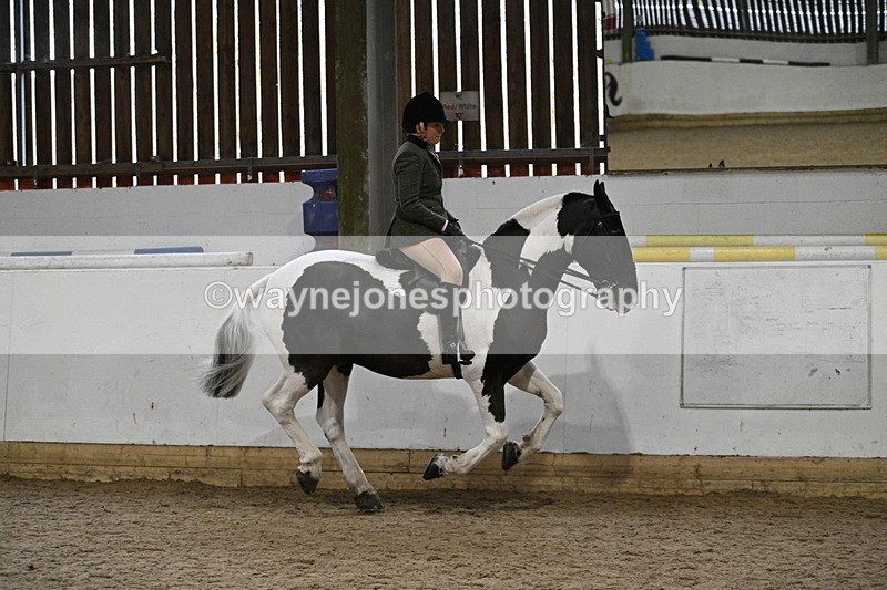 WJ7_3877 - Class 17 Ridden Cob