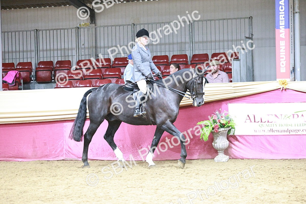 SBM_08014 - Class 11R - Regional Ridden Veteran