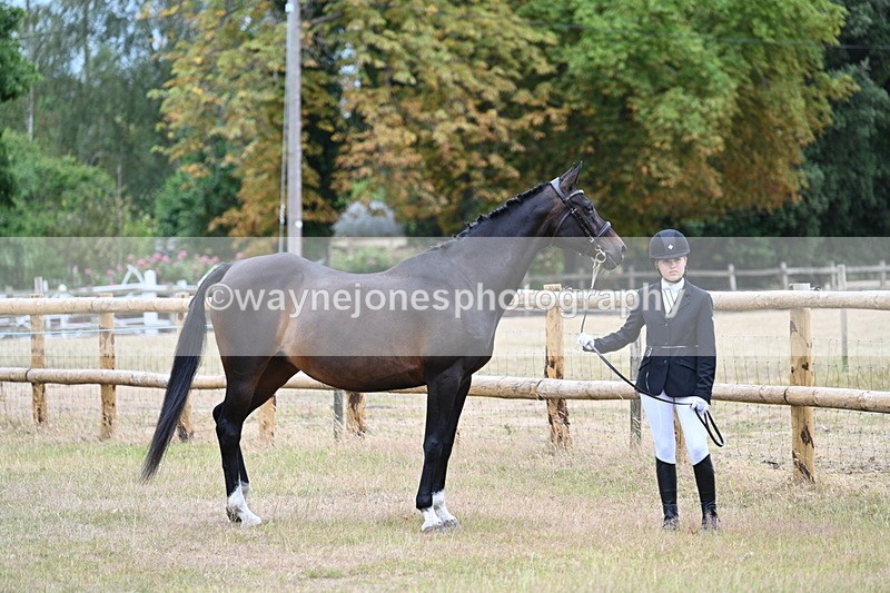 WJ7_8985 - Class 4a Prettiest Mare 14.2hh and over