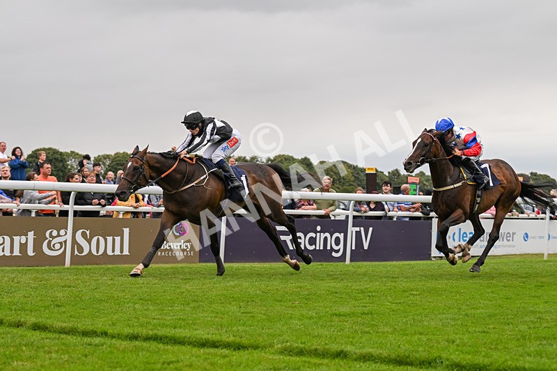 150824-Race 5-Pons Aelius-8318 - Race 5