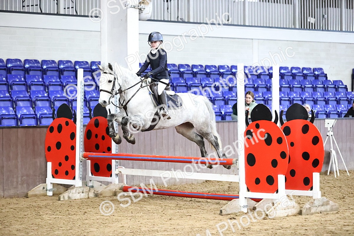 SBM_001311 - Class 9 - Pony British Novice 80cm
