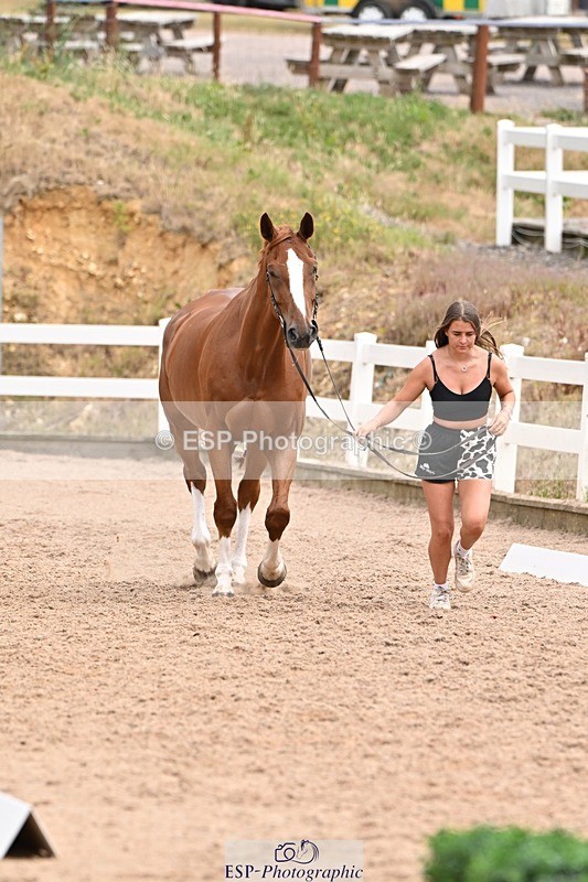 250716-144502-01356 - Trot Up 2.30 to 3.30